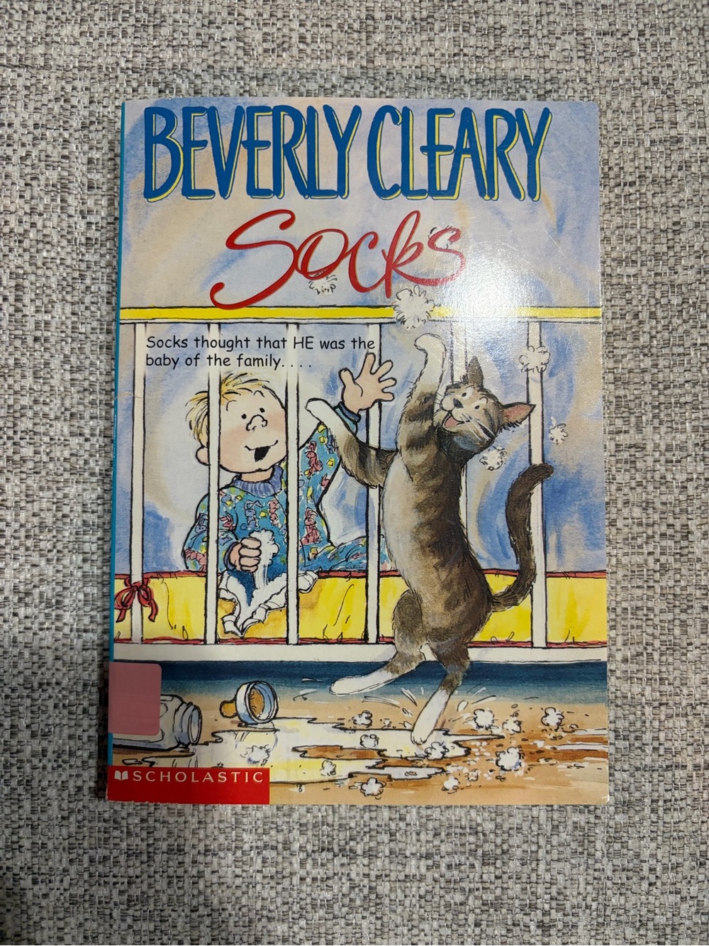 Scholastic Socks Book Cover — Blue, Yellow, Red, Brown